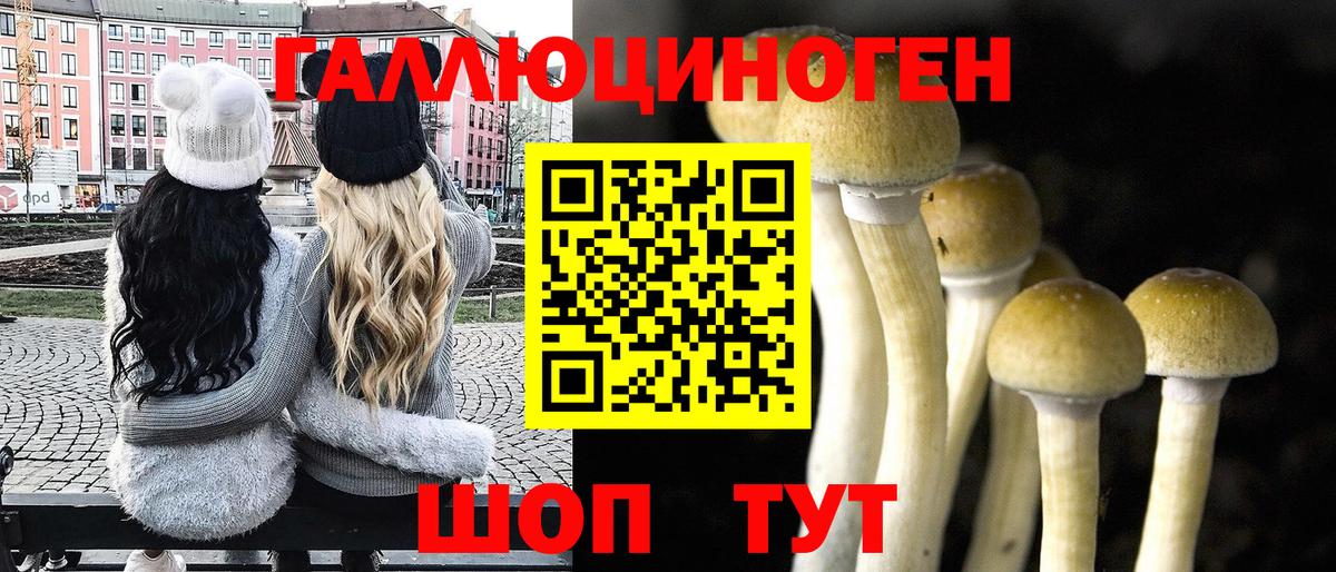 Псилоцибиновые грибы Psilocybe  Вход с VPN  Кировск 
